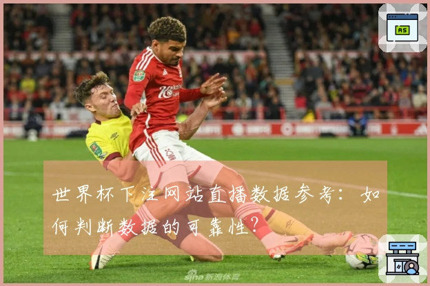 世界杯下注网站直播数据参考：如何判断数据的可靠性？