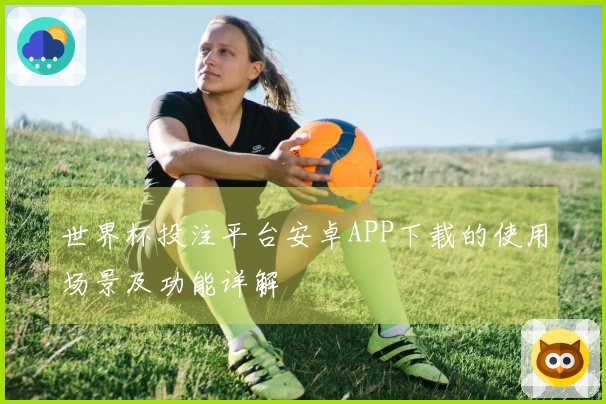 世界杯投注平台安卓APP下载的使用场景及功能详解