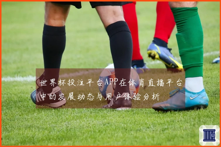 世界杯投注平台APP在体育直播平台中的发展动态与用户体验分析