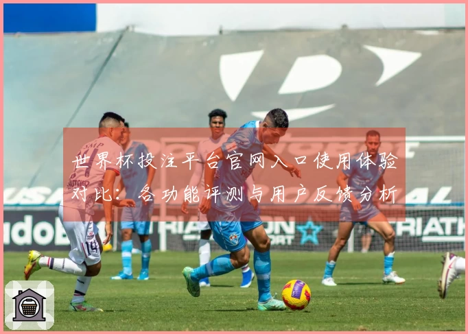 世界杯投注平台官网入口使用体验对比：各功能评测与用户反馈分析