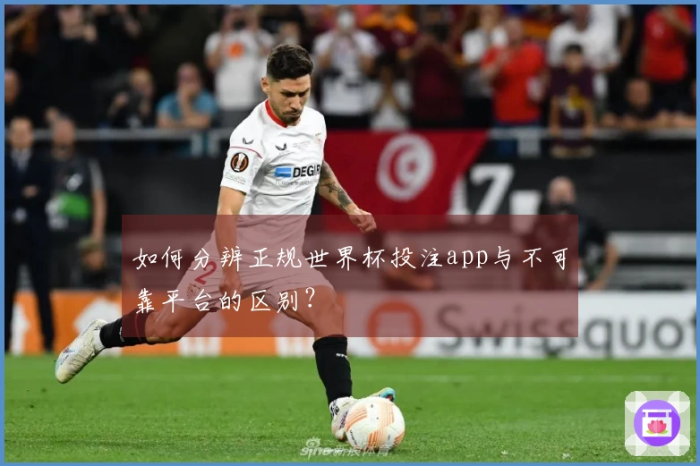 如何分辨正规世界杯投注app与不可靠平台的区别？