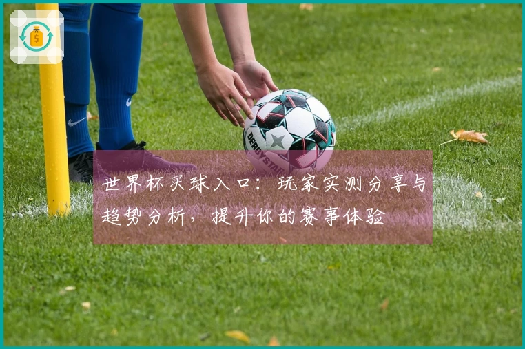 世界杯买球入口:玩家实测分享与趋势分析,提升你的赛事体验